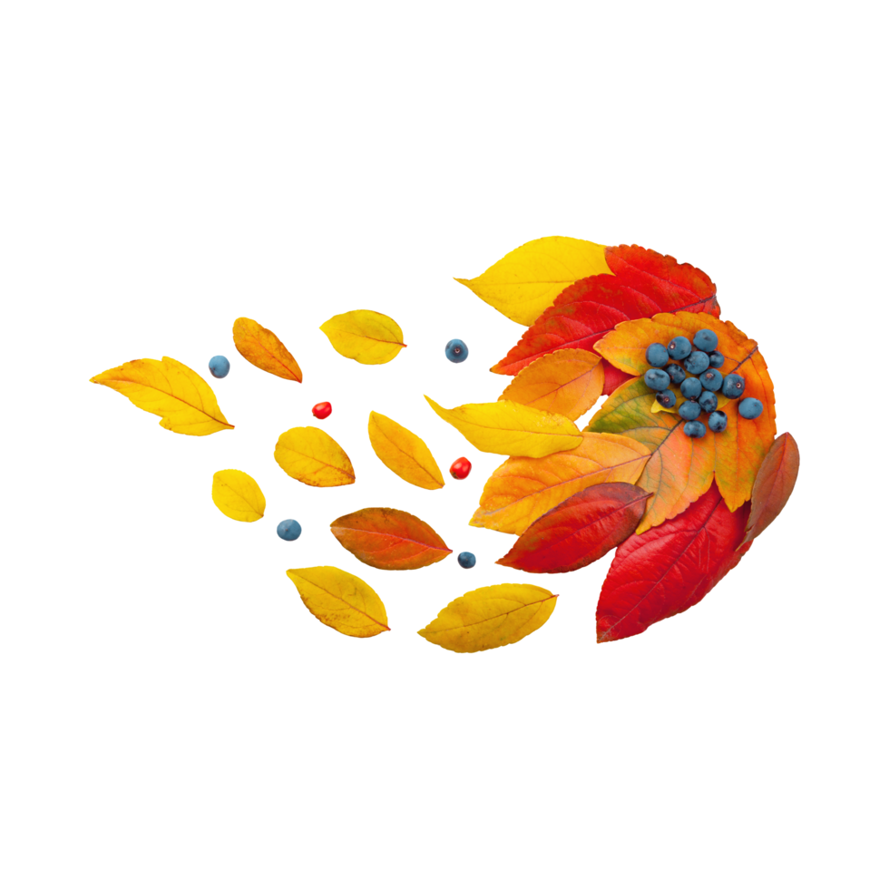 Autumn Leave  Generative Ai png