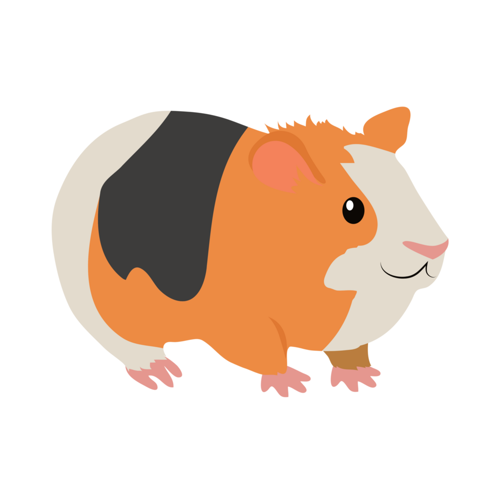Guinea Pig Cartoon Generative Ai 27991261 PNG