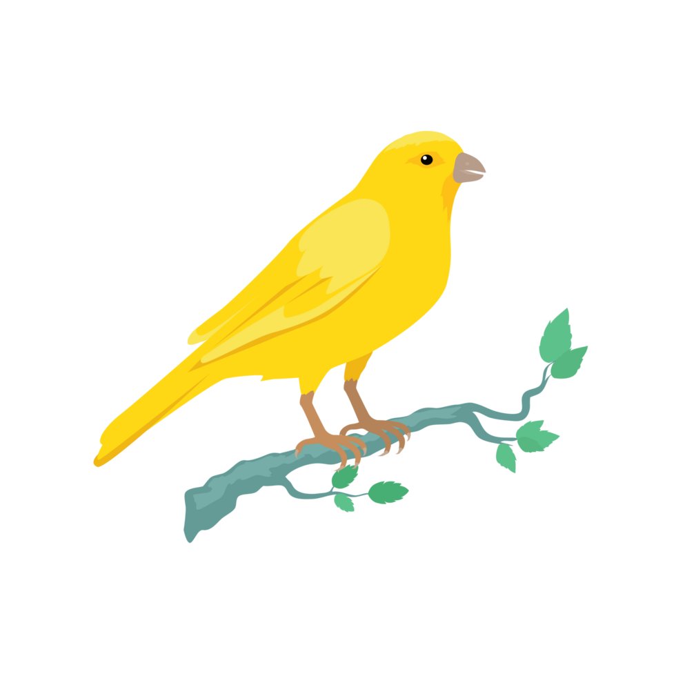 Domestic canary Bird Generative Ai png