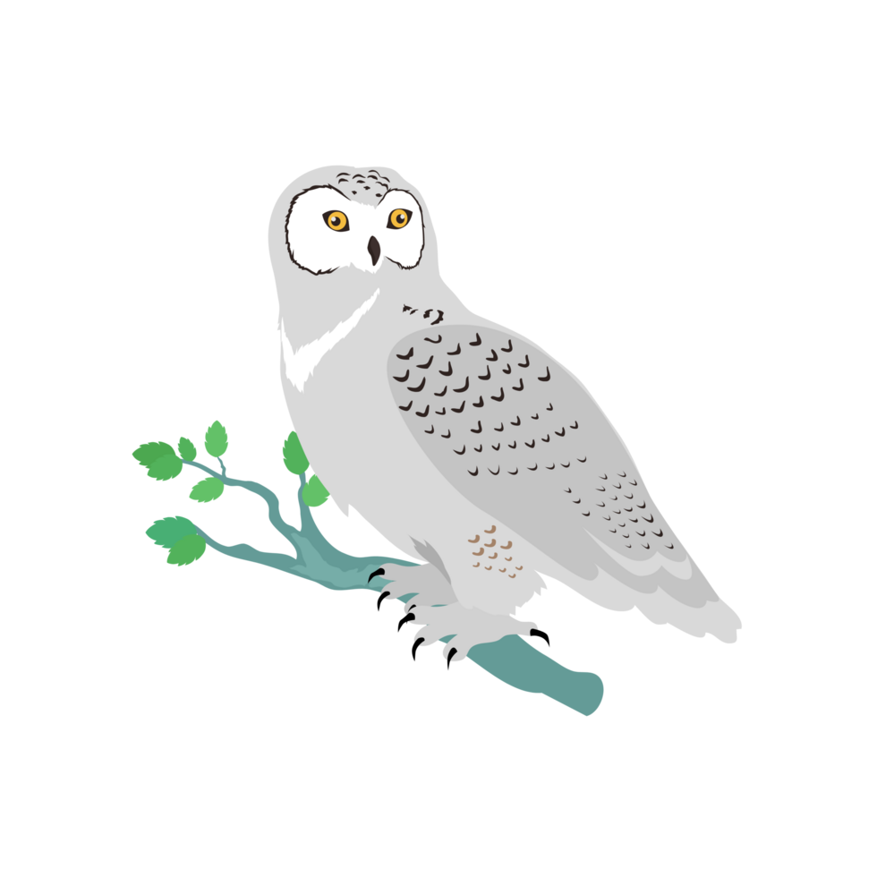 Snowy owl  Generative Ai png
