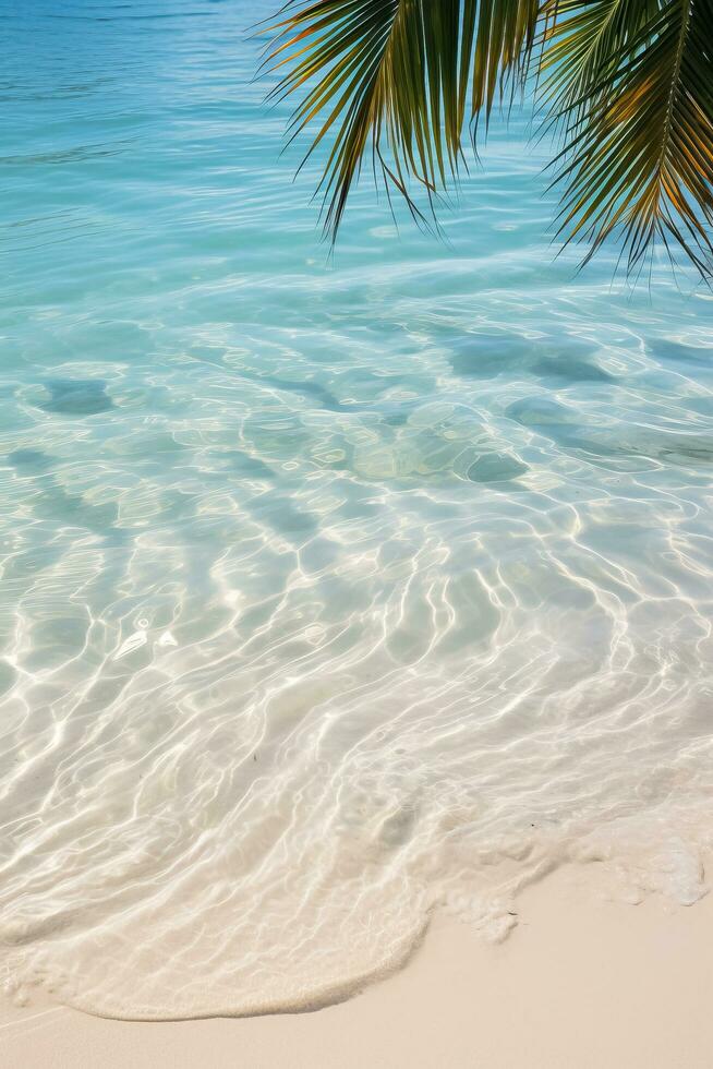 Beautiful palm leaf shadow on abstract white sand beach with sunlit water surface a perfect summer vacation background photo