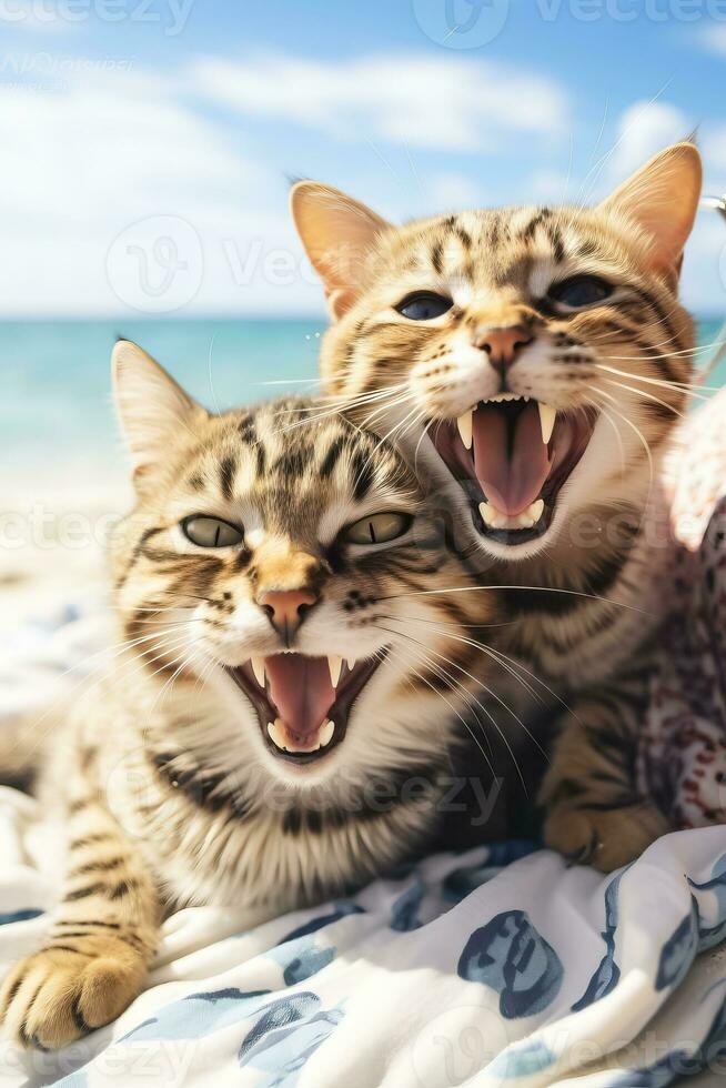 Happy young couple enjoying beach fun with their Bengal cat photo