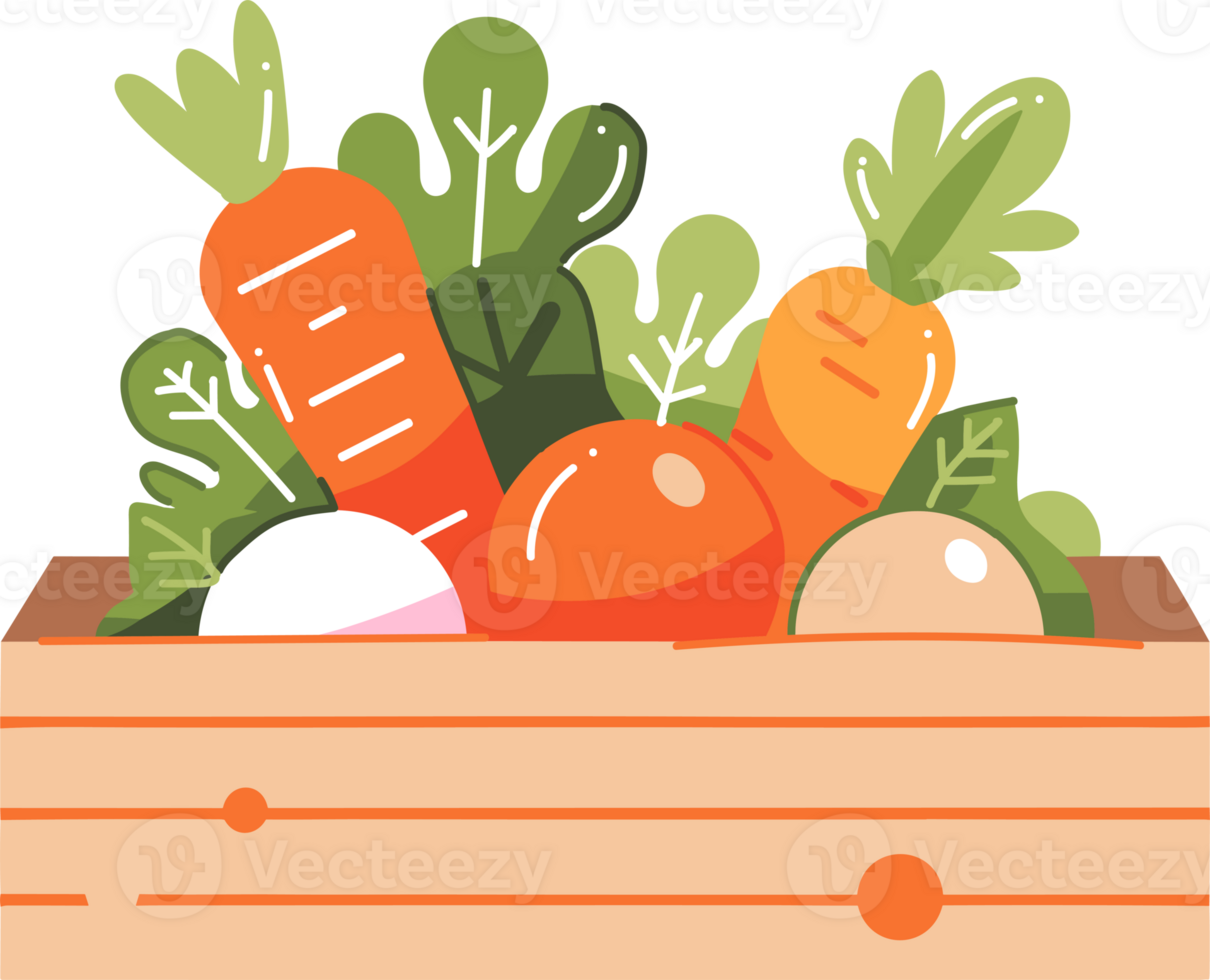 Hand Drawn fruits and vegetables in boxes in flat style png