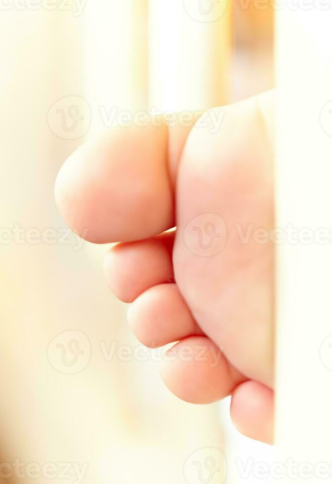 Baby's tiny foot photo