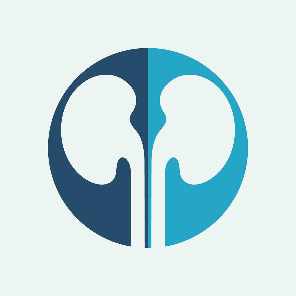 Kidney icon vector. vector