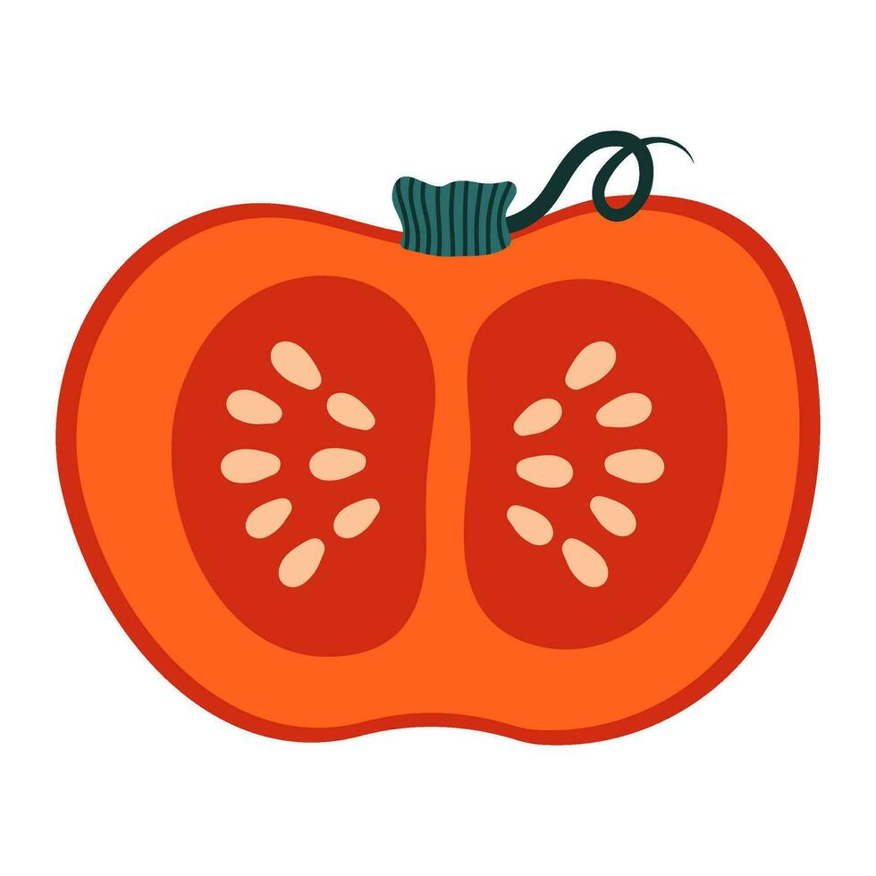 Hand drawn pumpkin with seeds isolated on white background. Autumn, fall, thanksgiving and halloween decoration. vector
