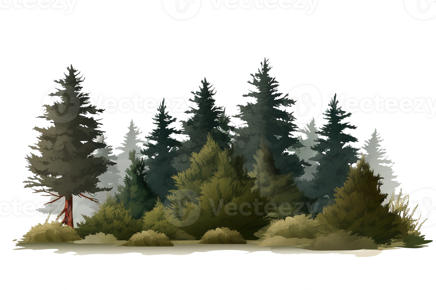 watercolor of small fir forest, group of tree landscape isolated. Generative AI png
