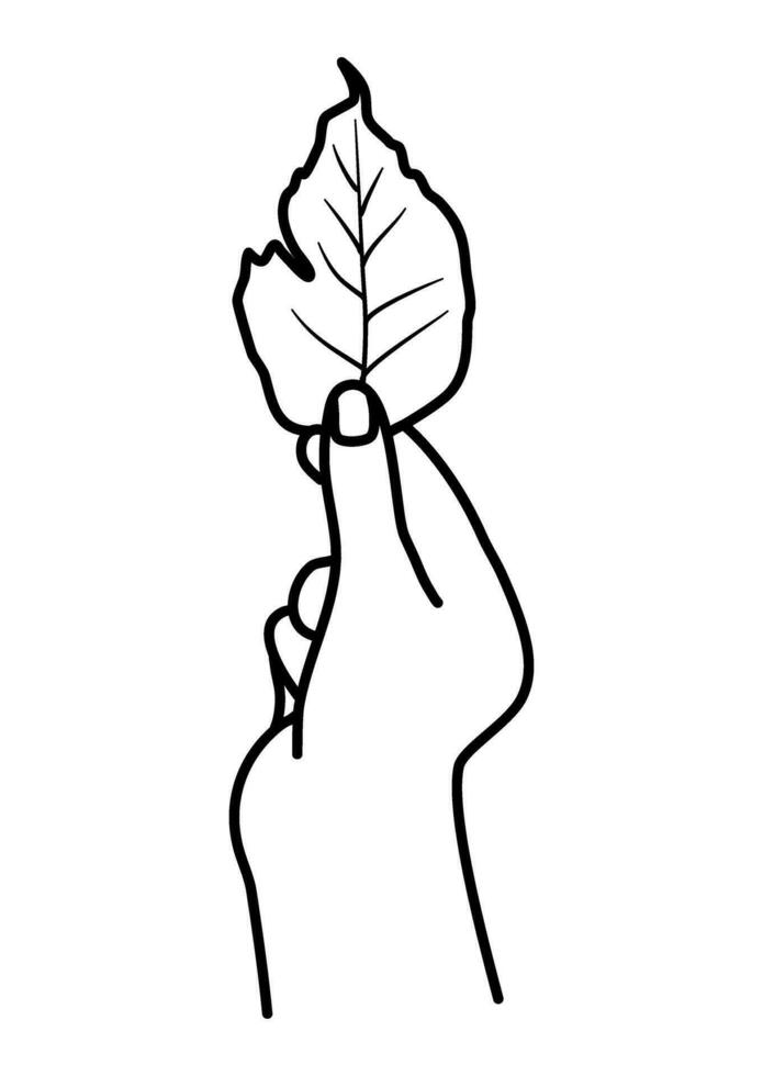 hand holding fall leaf autumn illustration vector