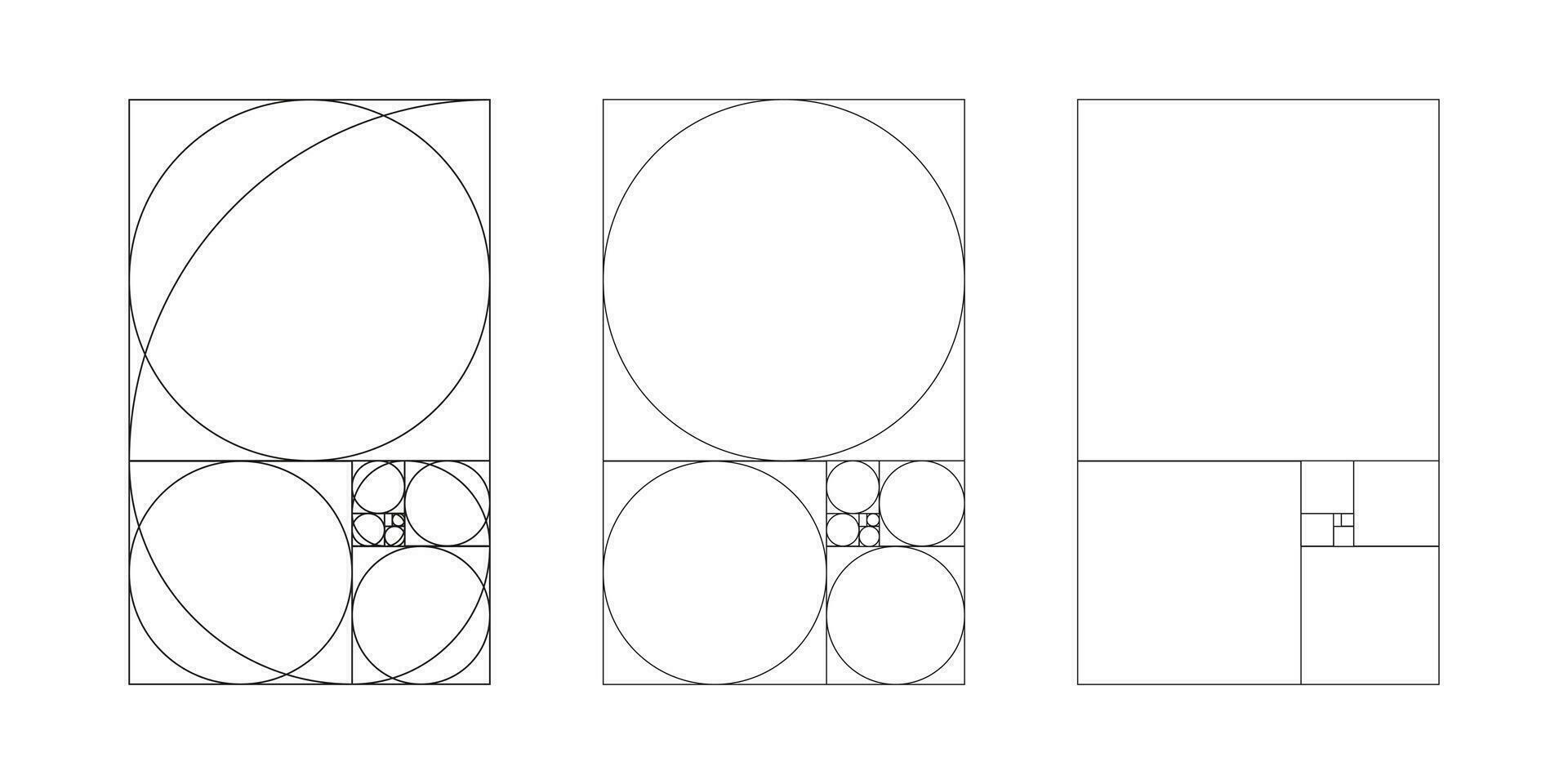 dorado proporción modelo colocar. método dorado sección. fibonacci formación, números. armonía dimensiones. contorno vector ilustración. eps.