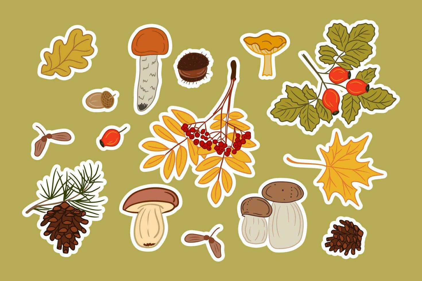 Collection of autumn mushroom and leaves stickers. Vector hand drawn isolated colored fungus and autumn leaves with white outline. Perfect for stickers, pattern, wrapping paper
