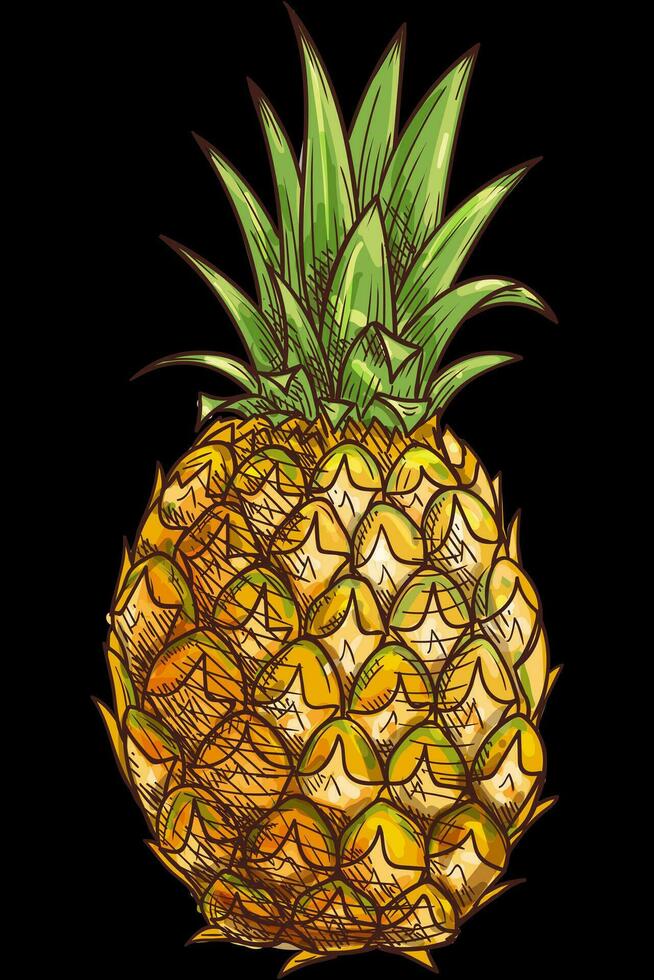 Pineapple illustration design vector
