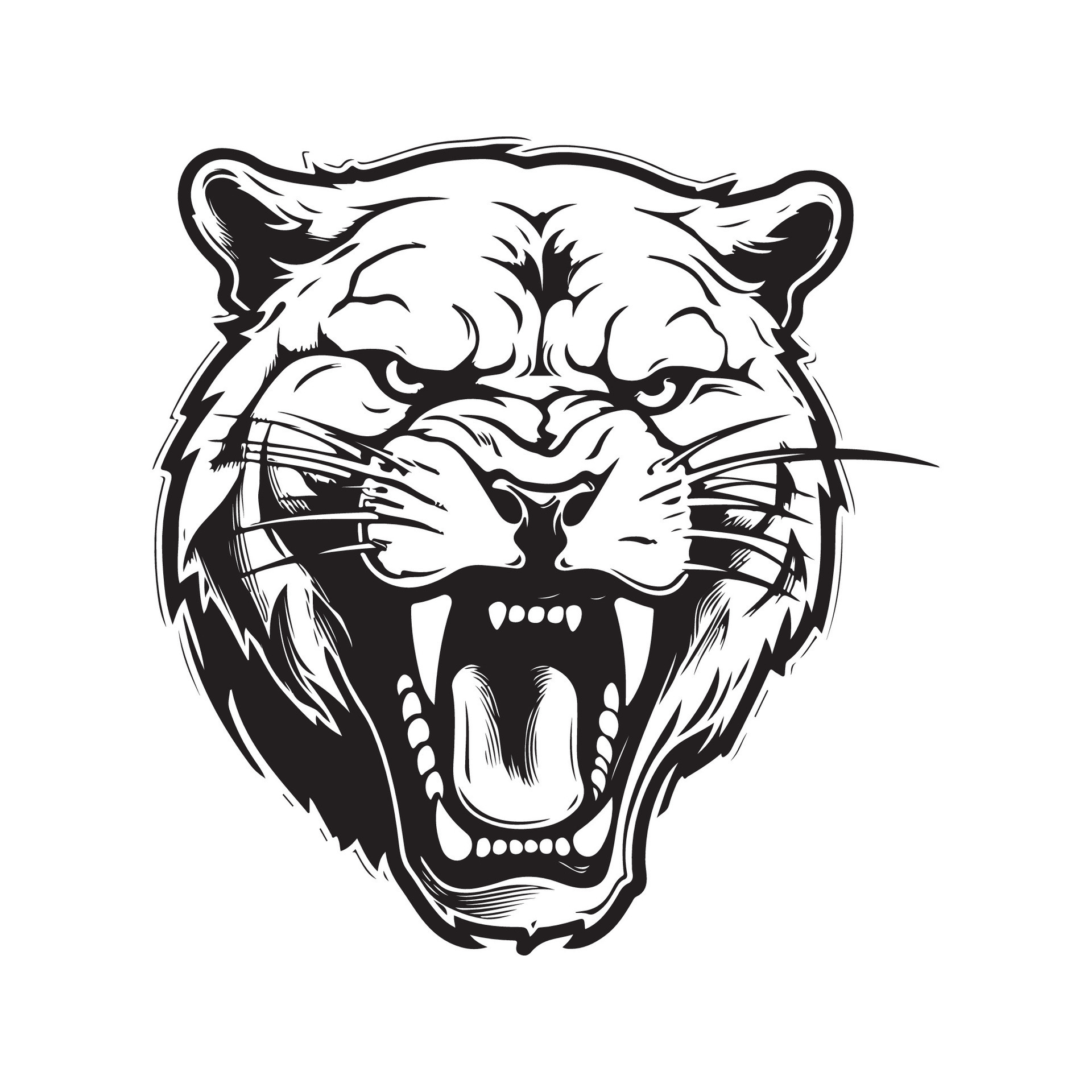 angry cougar, vintage hand drawn illustration 27997926 Vector Art at