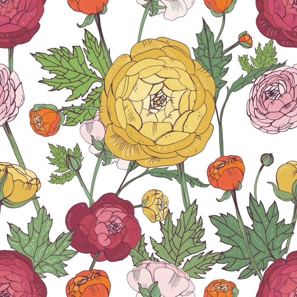 hand drawn vintage floral colorful seamless pattern with ranunculus flower. vector