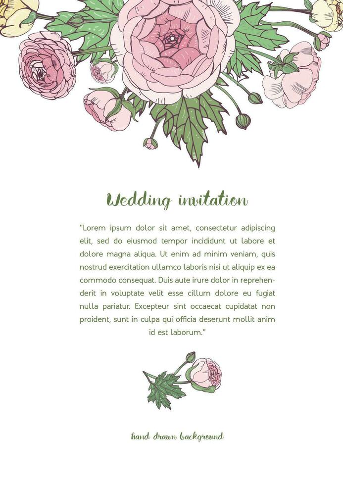 Vector background with pink ranunculus flowers. holiday, wedding invitation design.