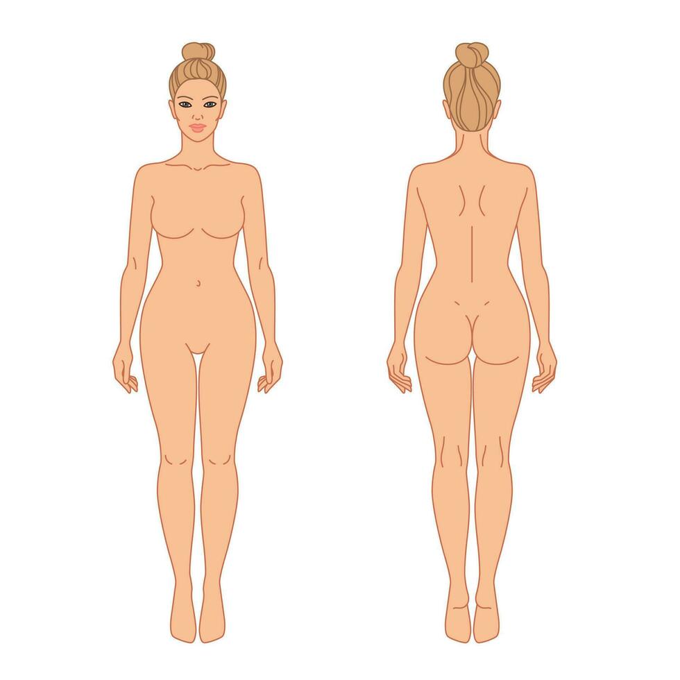 mujer cuerpo frente y espalda ver vector ilustración. aislado contorno línea contorno color modelo niña sin ropa.