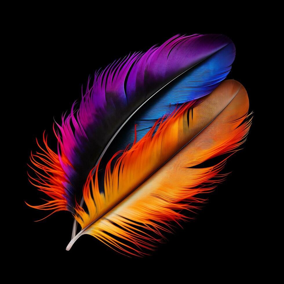 Vibrant contrast of an feather on black background photo