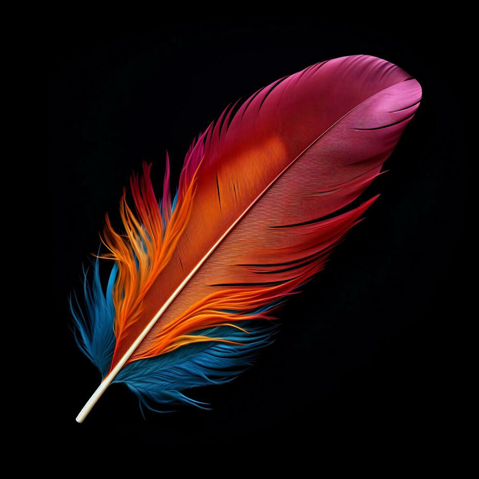 Vibrant contrast of an feather on black background photo
