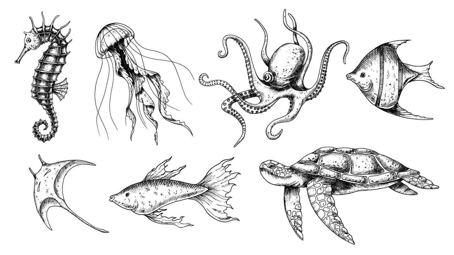 submarino animales colocar. vector mano dibujado ilustración de caballo de mar y Medusa en aislado antecedentes en contorno estilo. dibujo de mar Tortuga y pulpo. grabado de submarino pez. negro tintas