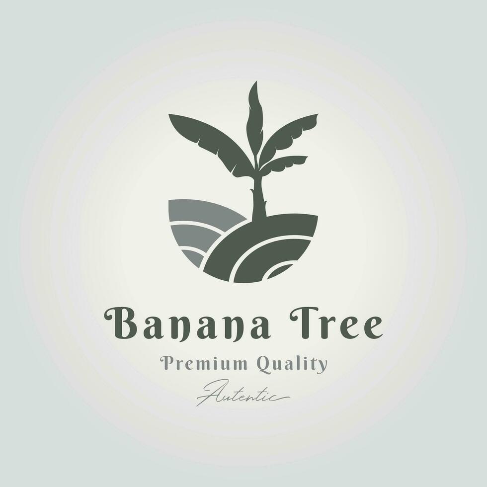 banana tree logo icon design vector minimal emblem, banana plantation illustration