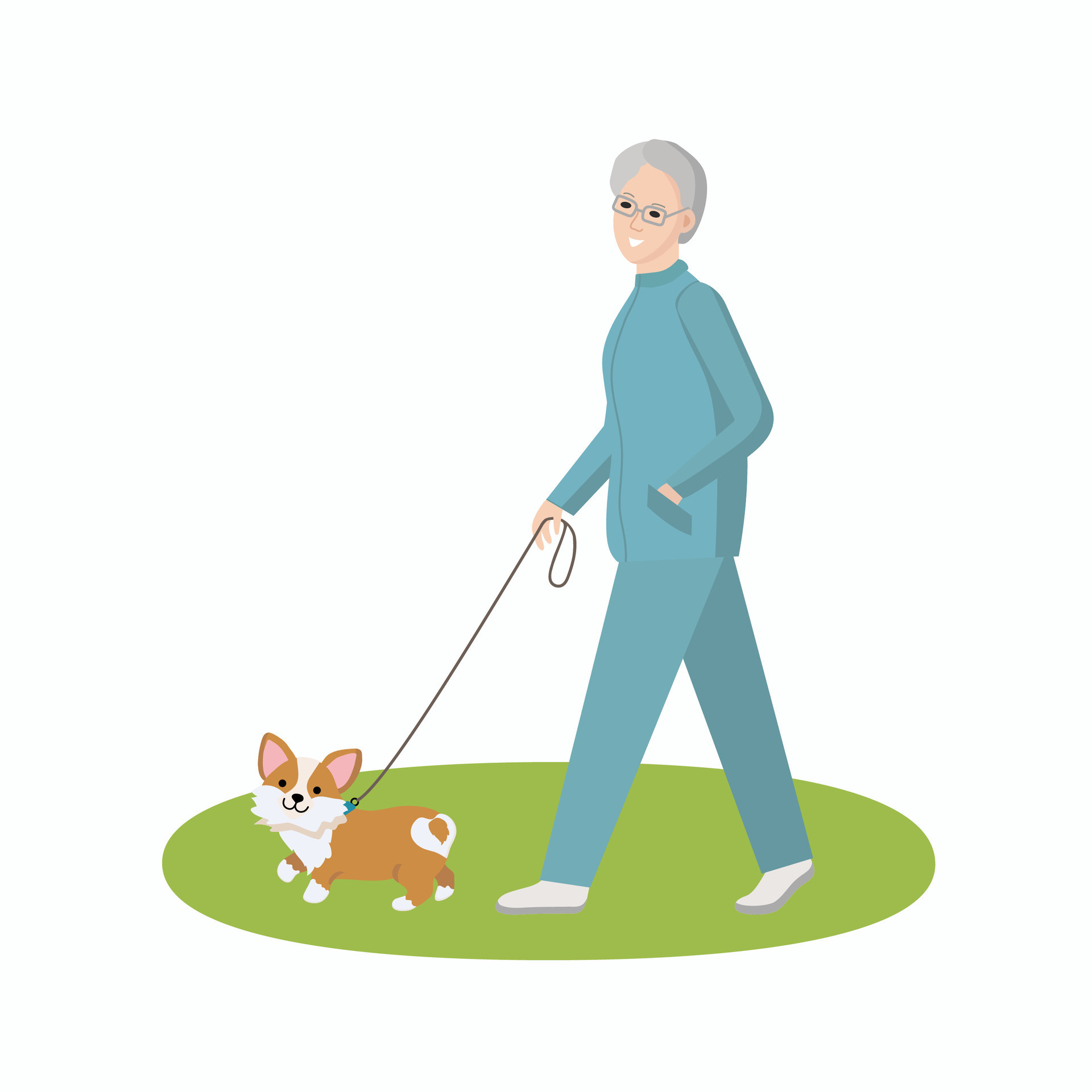 Elderly woman with a dog. Grandma is walking the dog. Puppy on a leash. breed. Active