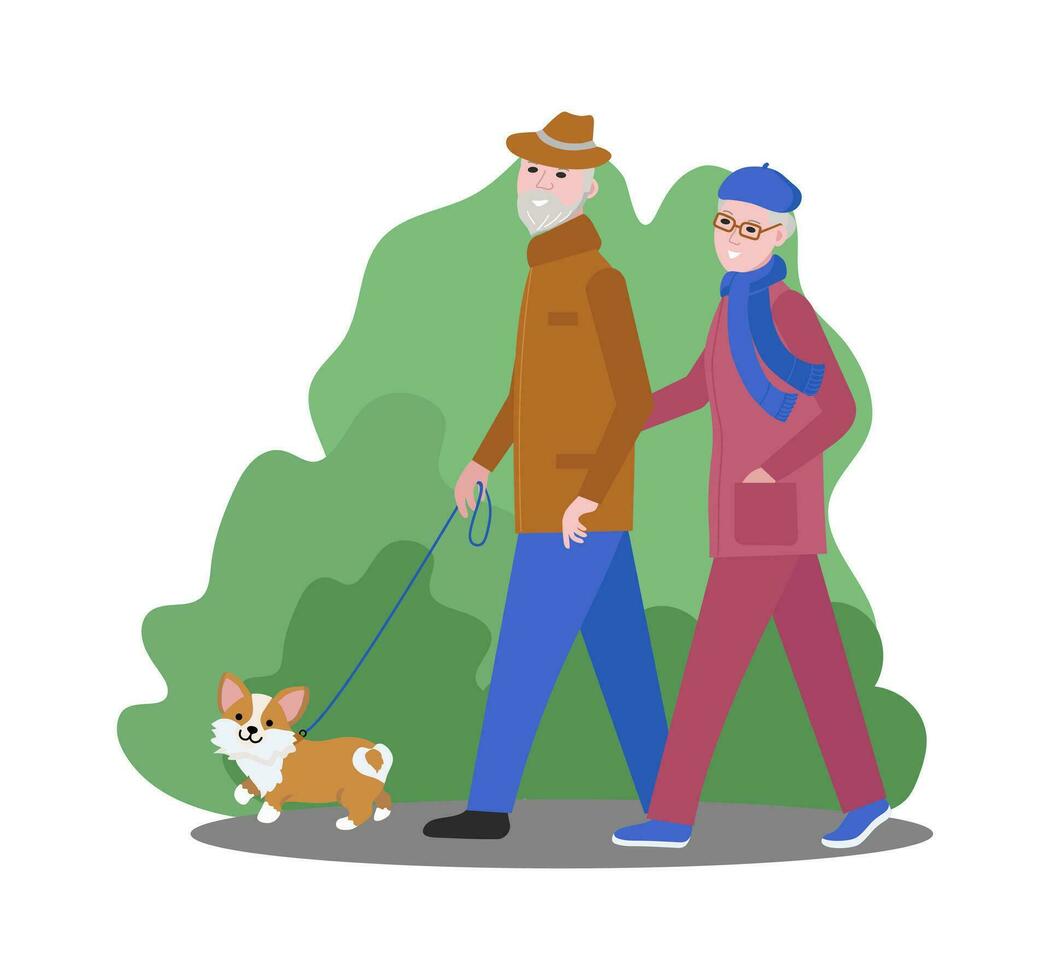 An elderly man and woman are walking with a pet, a corgi dog. Cheerful puppy on a leash. Retirement leisure. Active lifestyle. Vector illustration.