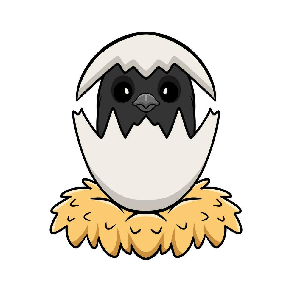Cute crow bird cartoon inside from egg vector