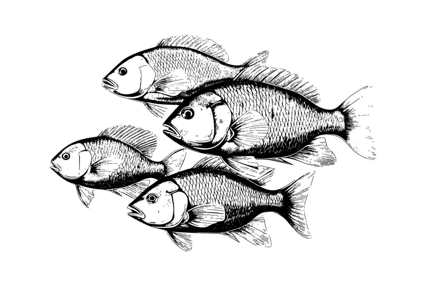 Flock of fish hand drawn engraving  isolated on white background. Vector sketch illustration.