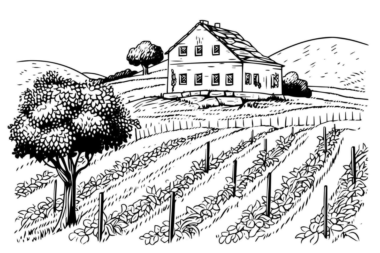 Vineyard landscape engraving style. Vintage hand drawn sketch vector illustration.