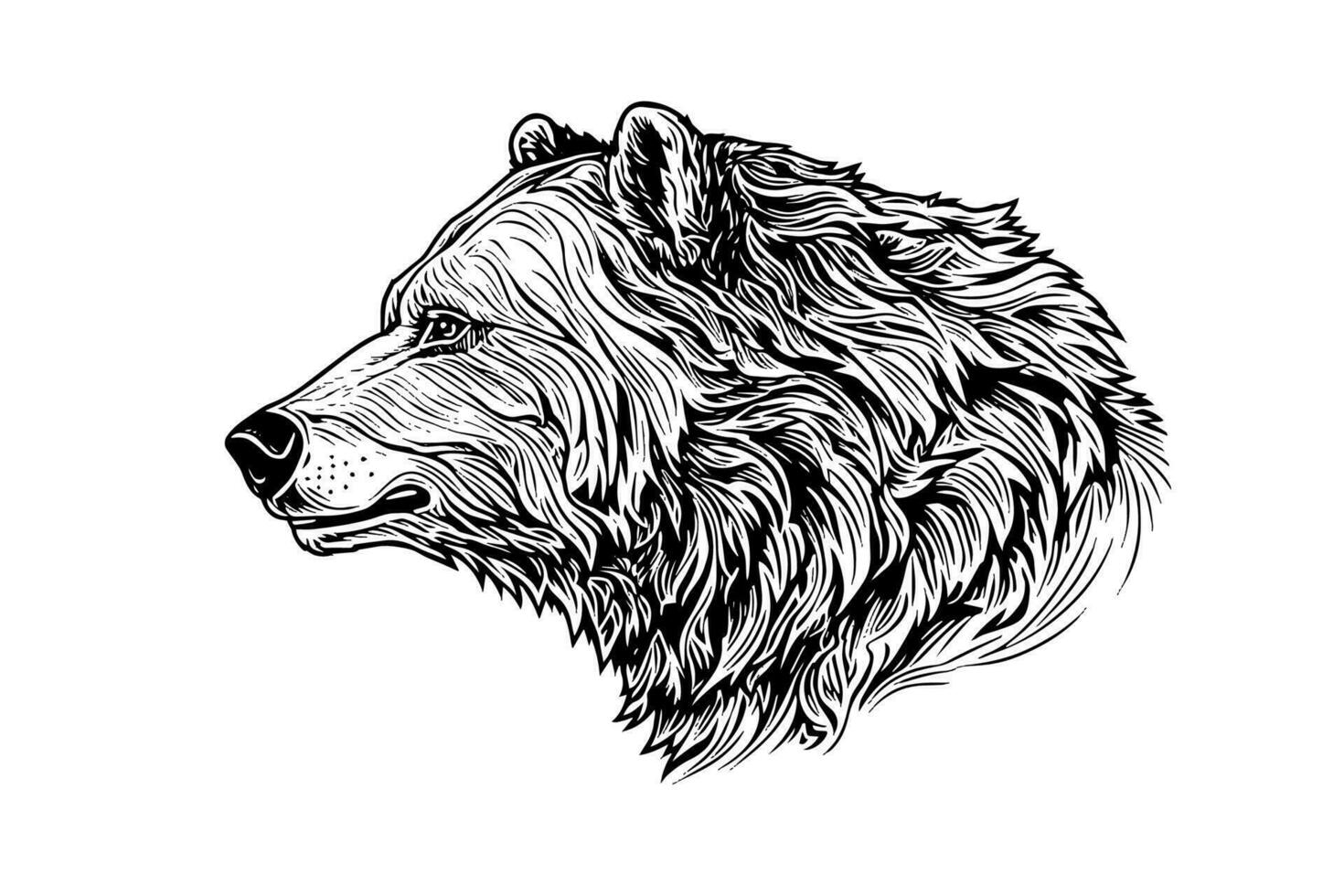 Bear head side view logotype vector engraving style illustration