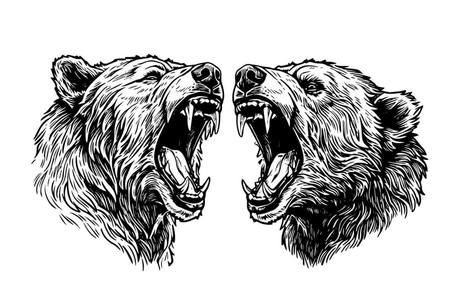 Two bear growling head logotype vector engraving style illustration