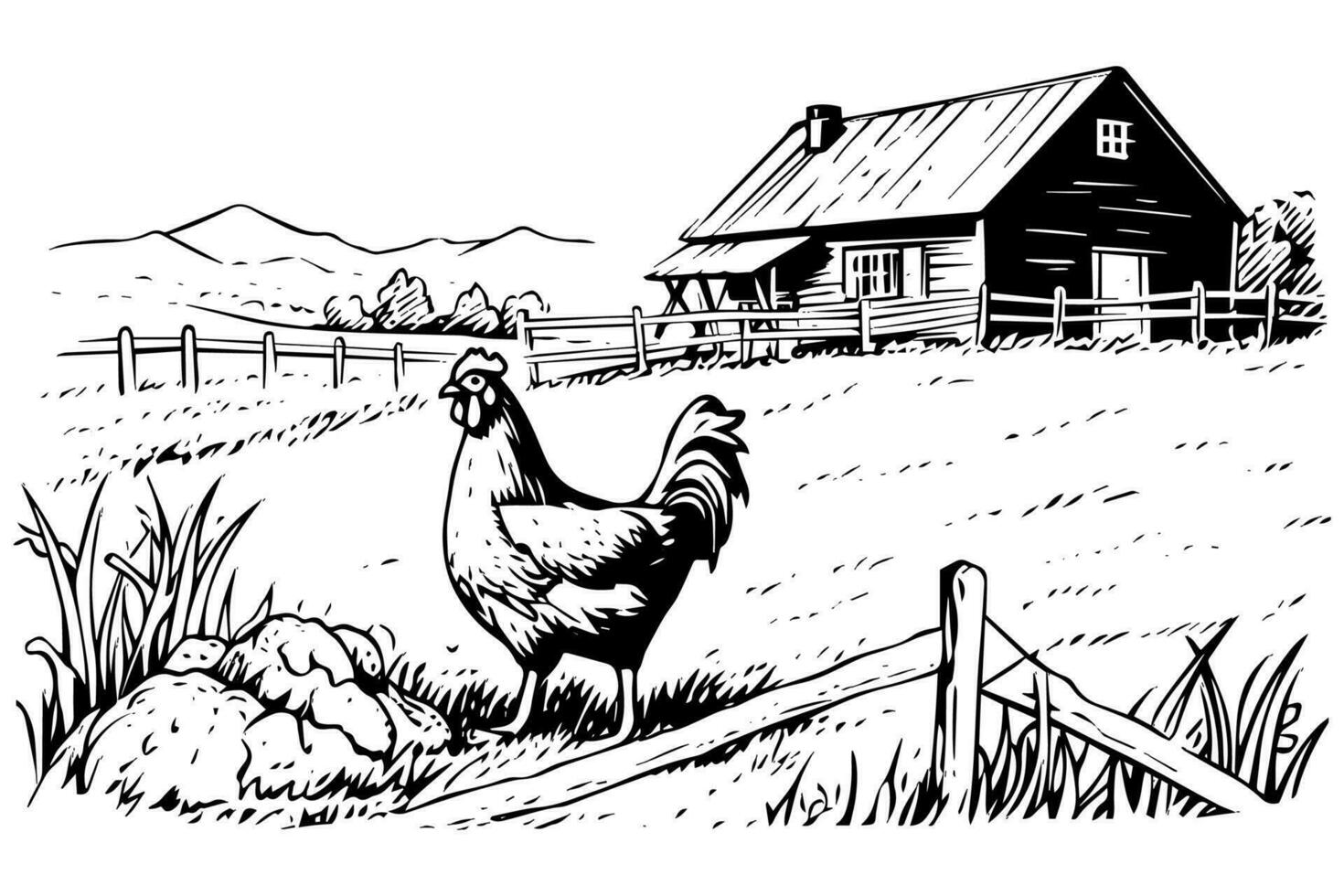 Chickens in farm  sketch. Rural landscape in vintage engraving style vector illustration.