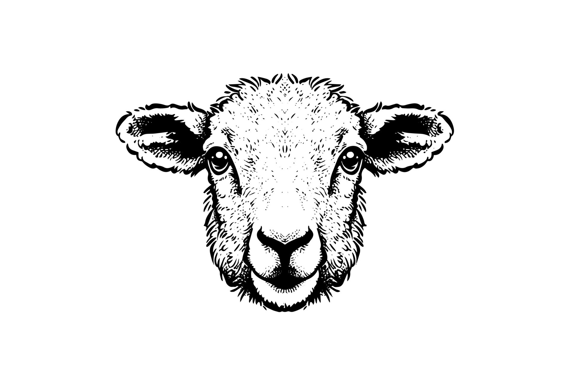Cute sheep or lamb head engraving style vector illustration. Realistic