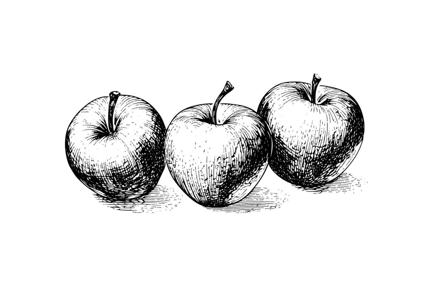 Apple fruit hand drawn engraving style vector illustrations.