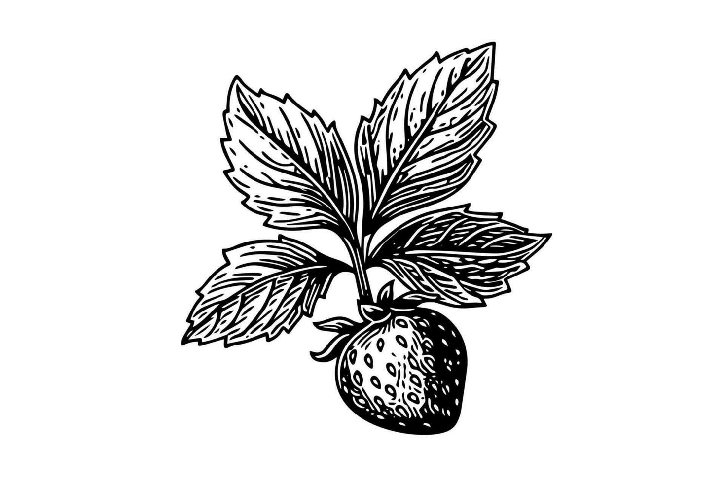 Strawberry in engraving style. Design element for poster, card, banner, sign. Vector illustration