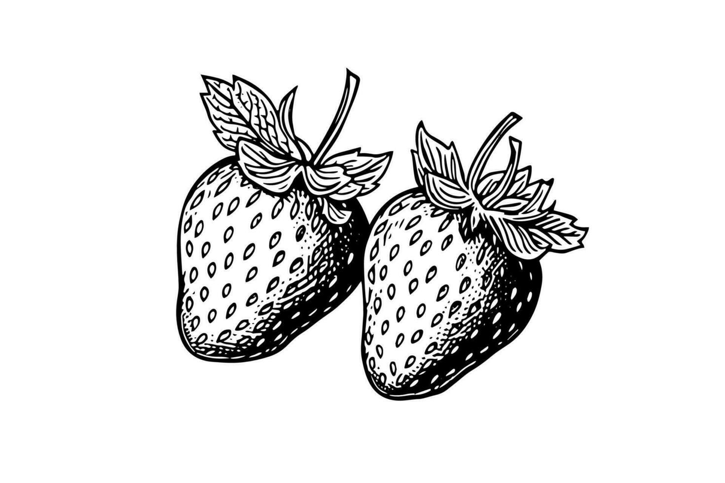 Strawberry in engraving style. Design element for poster, card, banner, sign. Vector illustration