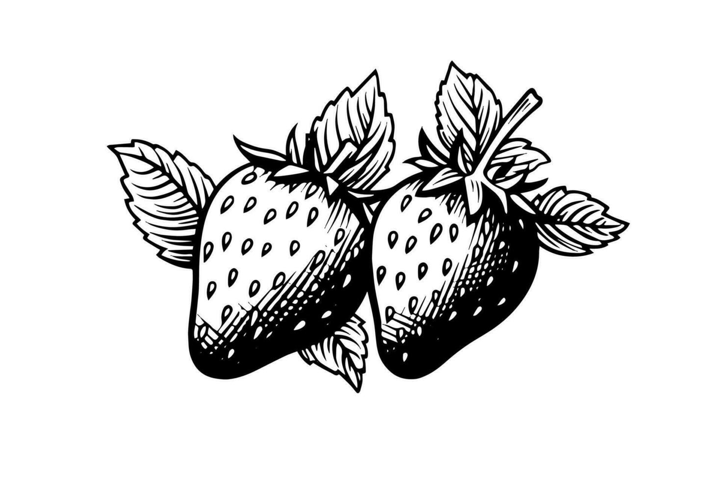 Strawberry in engraving style. Design element for poster, card, banner, sign. Vector illustration