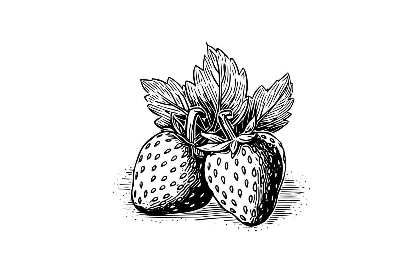 Strawberry in engraving style. Design element for poster, card, banner, sign. Vector illustration