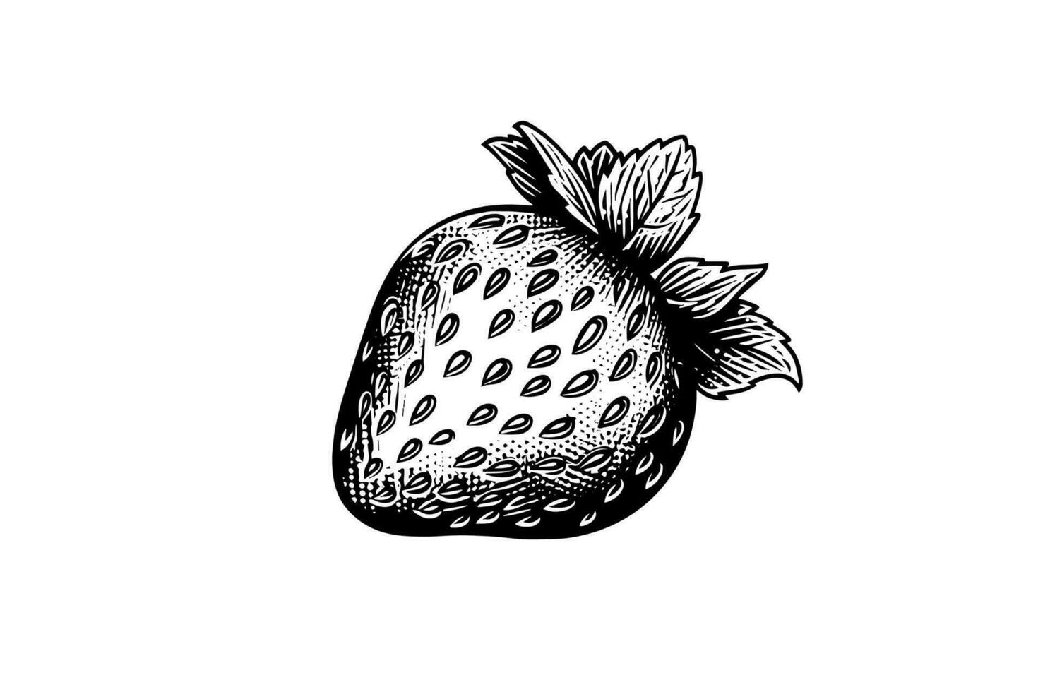 Strawberry in engraving style. Design element for poster, card, banner, sign. Vector illustration