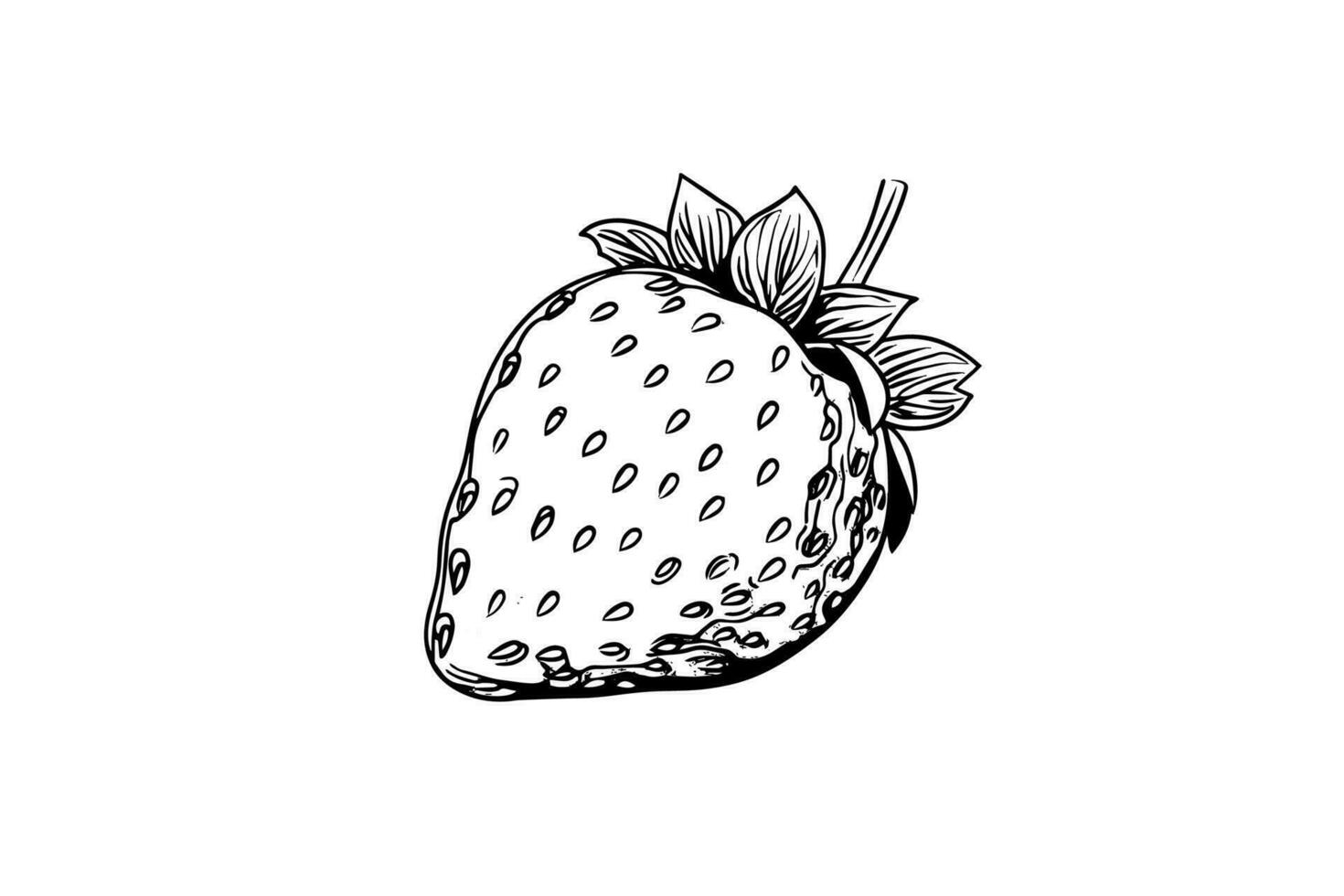 Strawberry in engraving style. Design element for poster, card, banner, sign. Vector illustration