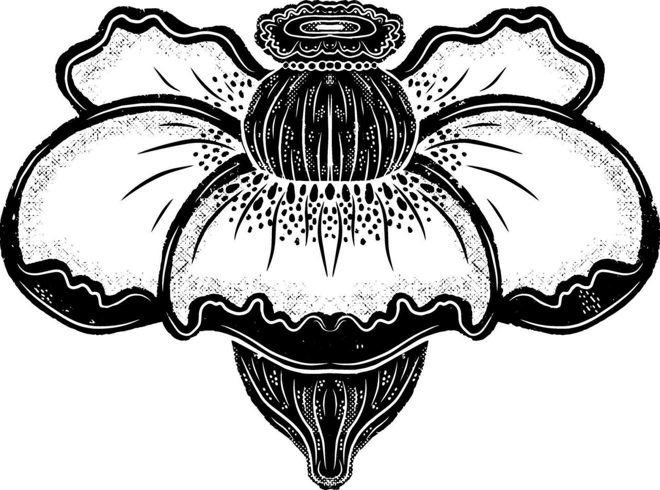 an illustration of a flower with a black and white design vector