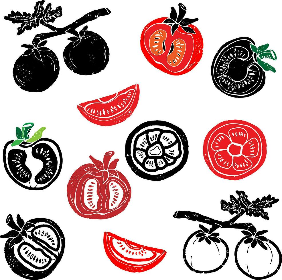 tomatoes and slices vector