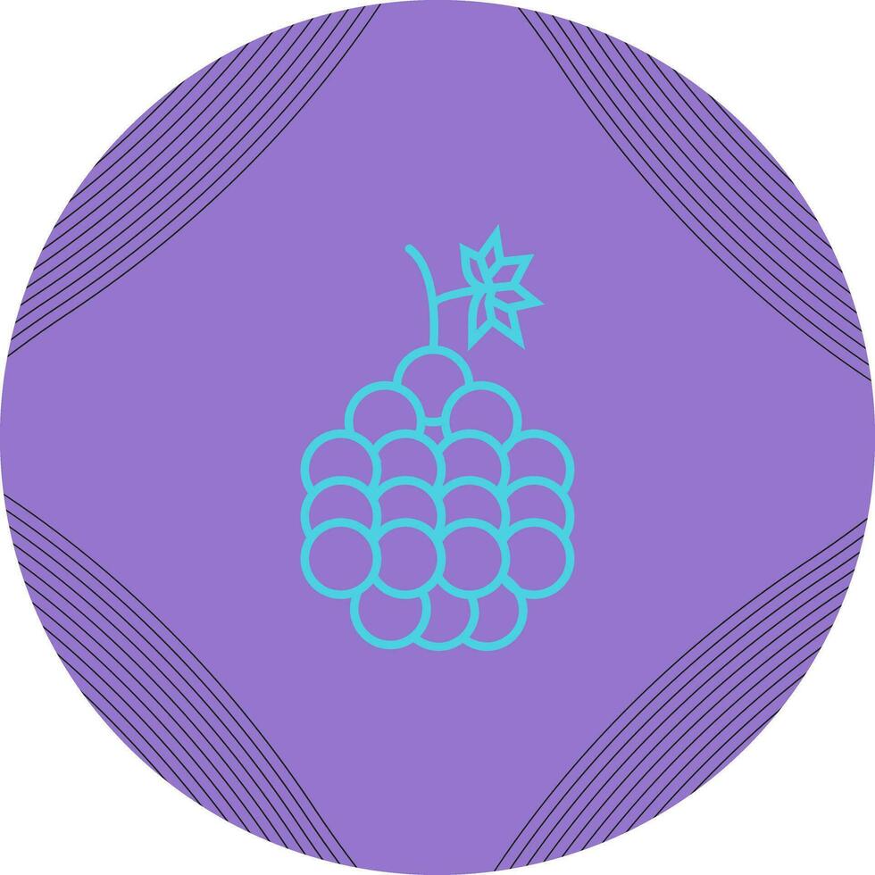 Grapes Vector Icon