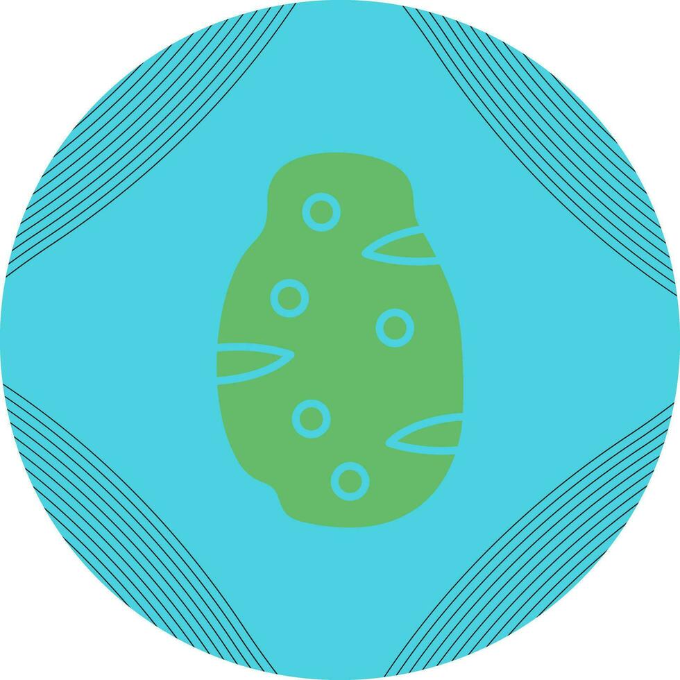 Potato Vector Icon