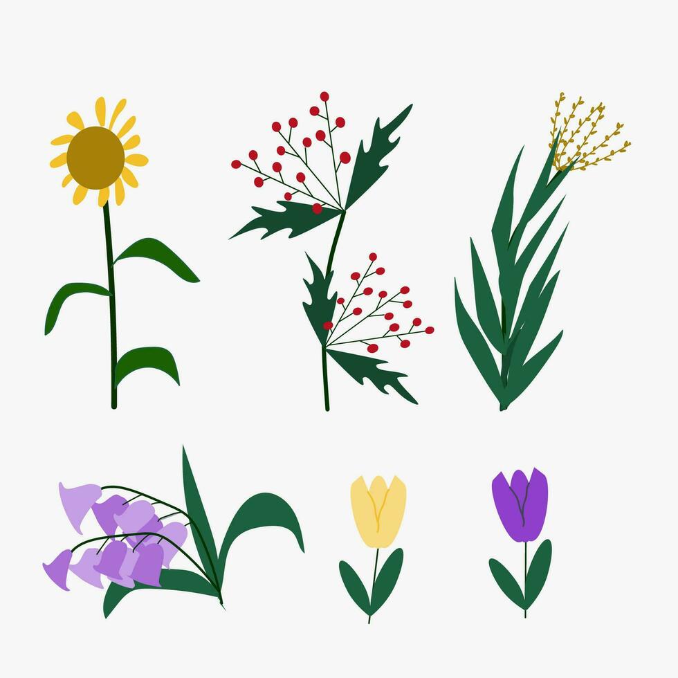 Forest and garden flowers isolated on white background cartoon hand drawn style, vector set. Vector illustration of nature flower spring and summer.