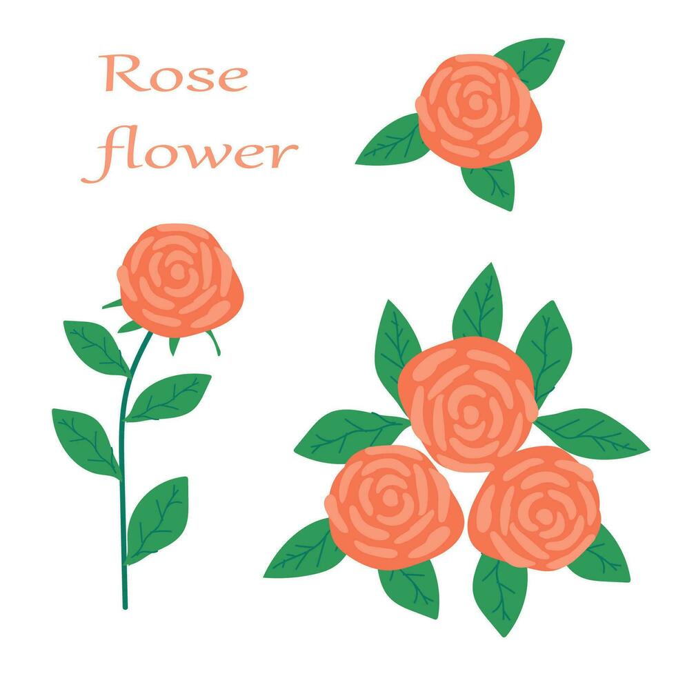 single icon of a rose, flower, bouquet in pink. Vector illustration on white background