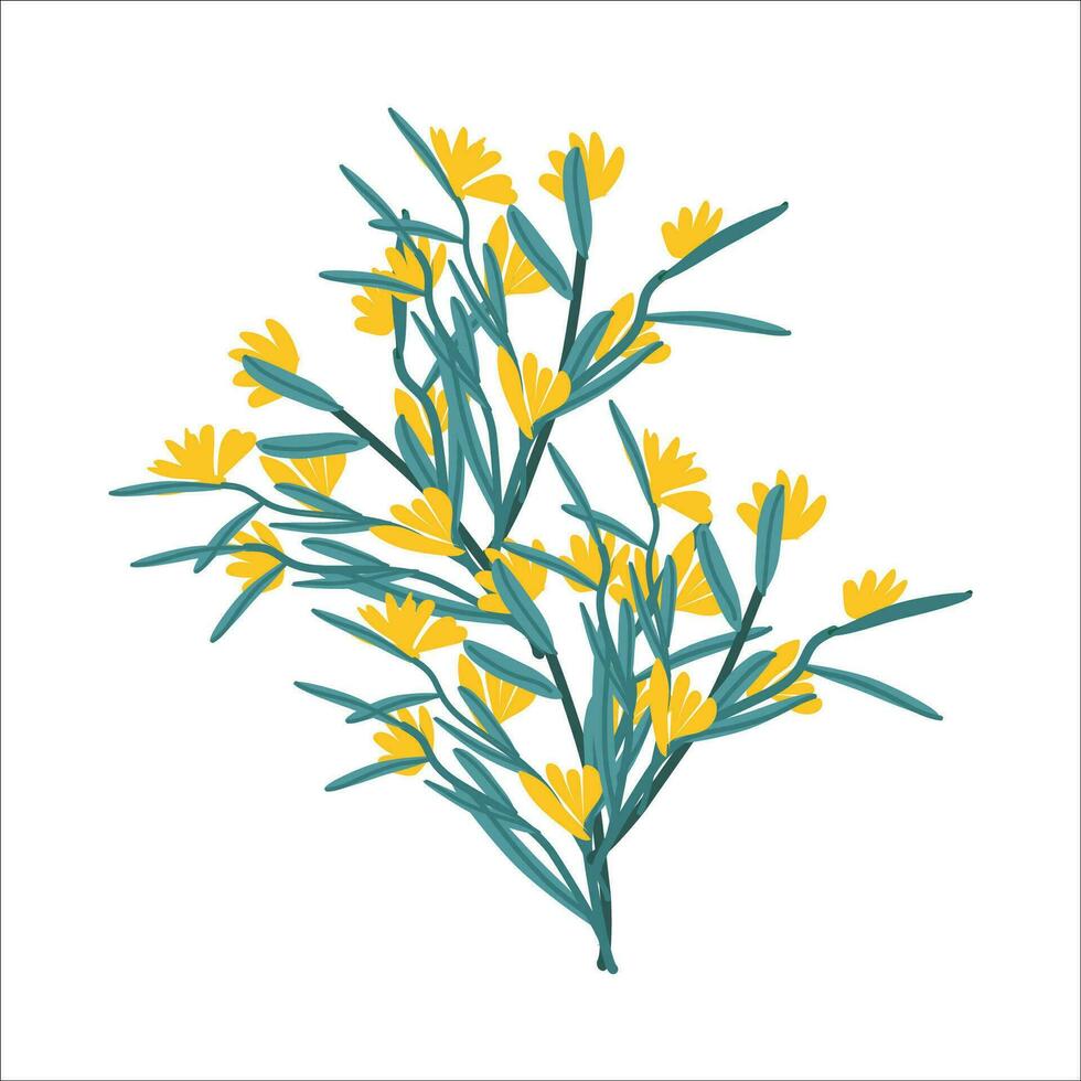 branch with yellow blossom flowers in a hand drawn style. Vector illustration on white background