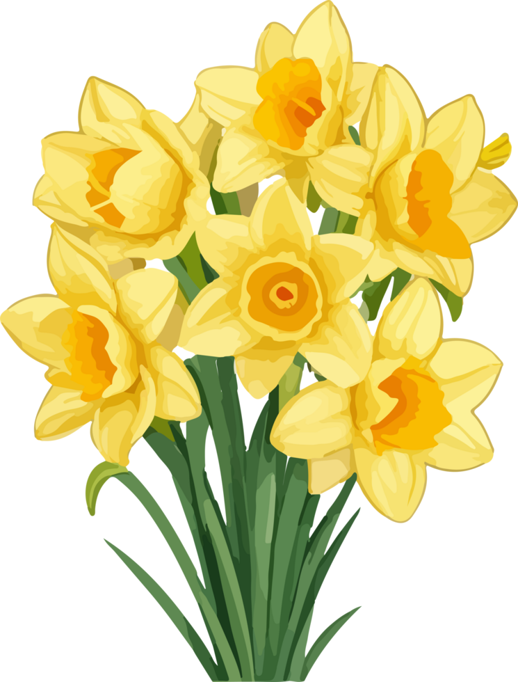 A Daffodil Flower Clipart Decoration with AI Generative 28013026 PNG