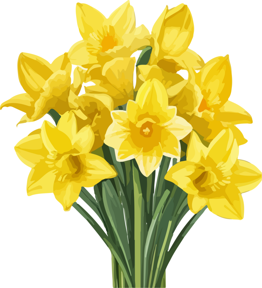 A Daffodil Flower Clip Art Illustration AI Generative png
