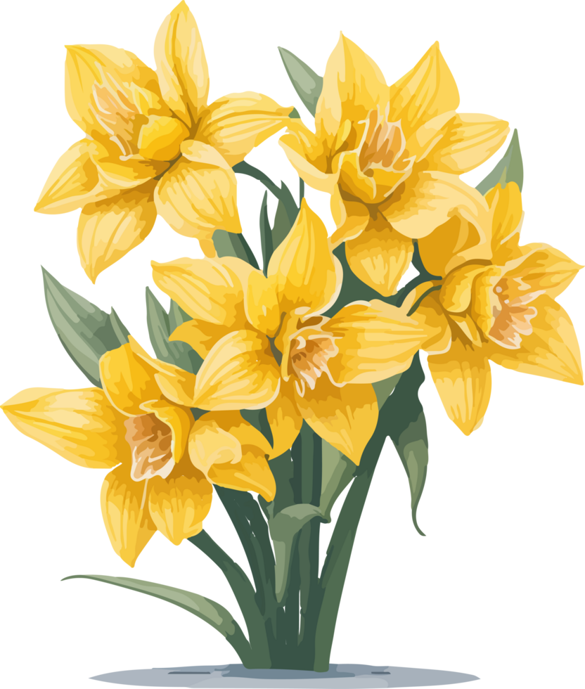 A Daffodil Flower Clip Art Decoration with AI Generative png