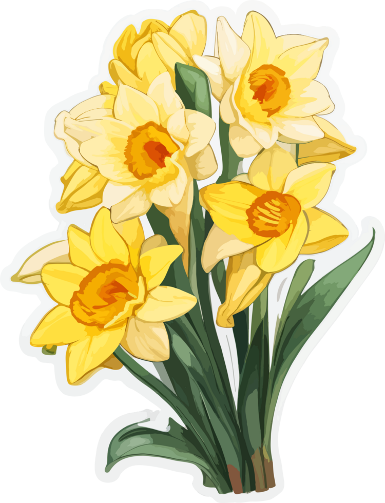 Daffodil Flower Bouquet Clip Art with AI Generative png